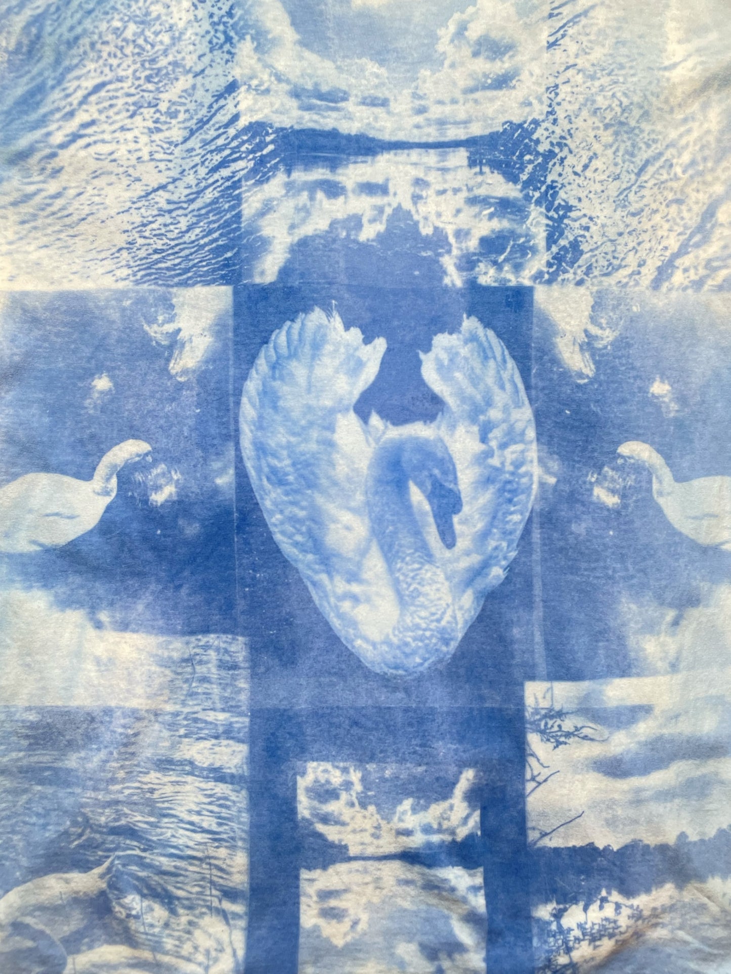 Ugly Duckling —Liminal Blue