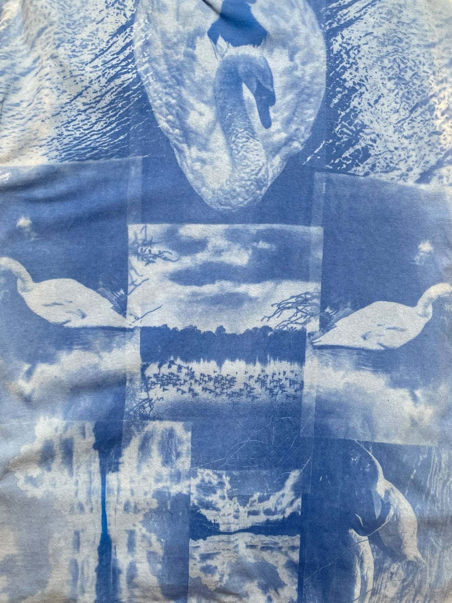 Ugly Duckling —Liminal Blue