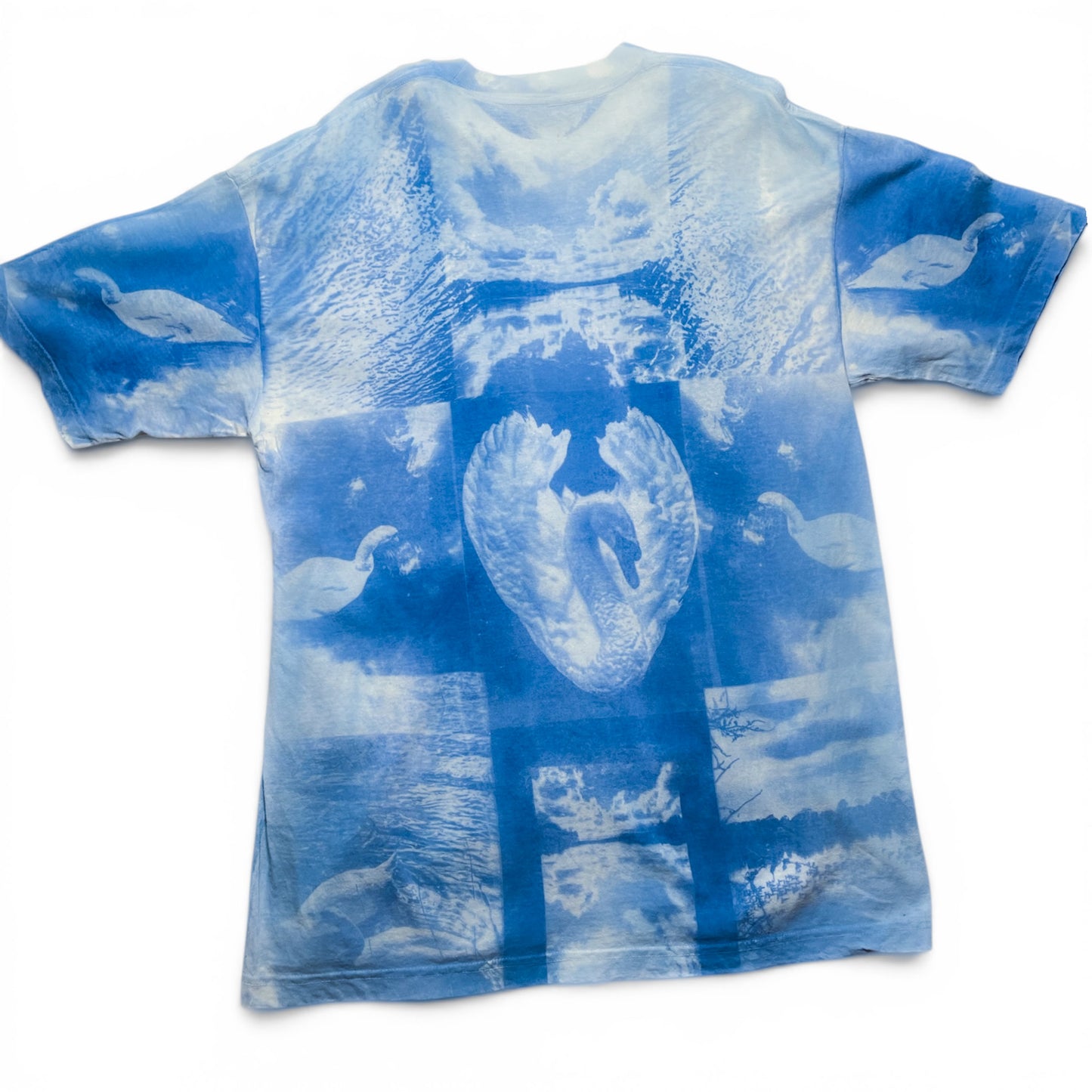 Ugly Duckling —Liminal Blue